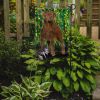 Chesapeake Bay Retriever 5 Garden Flag