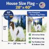 Papillon 11 House Flag