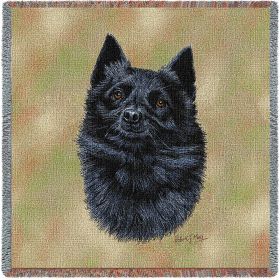 Schipperke - Lap Square Cotton Woven Throw