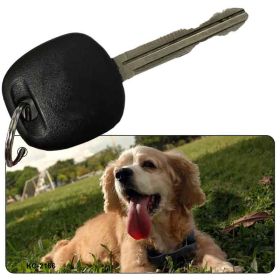 Cocker Spaniel 1 Keychain