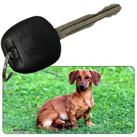 Dachshund 1 Keychain