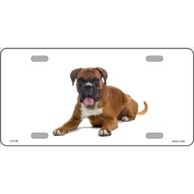 Boxer 1 Metal License Plate