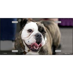 Bulldog 1 Metal License Plate