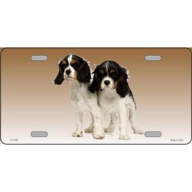 Cavalier King Charles Spaniel 1 Metal License Plate