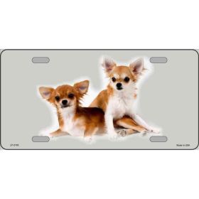 Chihuahua 1 Metal License Plate