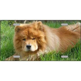 Chow Chow 1 Metal License Plate