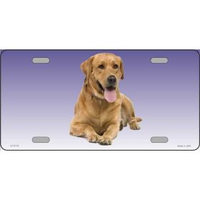 Labrador Retriever 1 - Yellow - Metal License Plate
