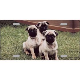 Pug 1 Metal License Plate