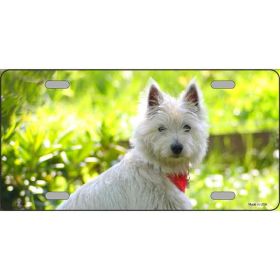 West Highland White Terrier 1 Metal License Plate