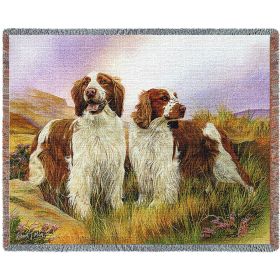 Welsh Springer Spaniel - Cotton Woven Blanket