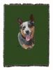 Australian Cattle Dog Cotton Woven Throw