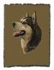 Alaskan Malamute Cotton Woven Throw