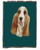 Basset Hound Cotton Woven Throw