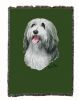 Bearded Collie Cotton Throw
