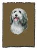 Bearded Collie Cotton Throw
