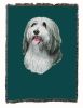 Bearded Collie Cotton Throw