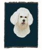 Bichon Frise Cotton Woven Throw