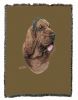 Bloodhound Cotton Woven Throw