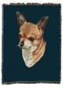 Chihuahua A Cotton Woven Throw