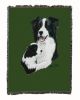 Border Collie with Puppy Cotton Woven Throw