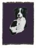Border Collie with Puppy Cotton Woven Throw