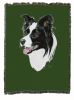 Border Collie Cotton Woven Throw