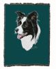 Border Collie Cotton Woven Throw