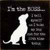 I'm The Boss ...