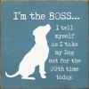 I'm The Boss ...
