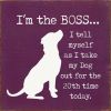 I'm The Boss ...