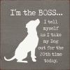 I'm The Boss ...