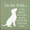 I'm The Boss ...