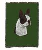 Boston Terrier - Black - Cotton Woven Throw
