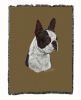 Boston Terrier - Black - Cotton Woven Throw