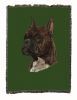 Boxer Brindle Cotton Woven Throw
