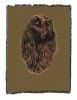 Boykin Spaniel Cotton Woven Throw