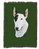 Bull Terrier Cotton Woven Throw