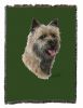 Cairn Terrier 2 Cotton Woven Throw