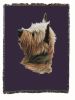 Cairn Terrier Cotton Woven Throw