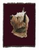 Cairn Terrier Cotton Woven Throw