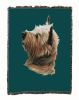Cairn Terrier Cotton Woven Throw