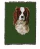 Cavalier King Charles Spaniel 1 Cotton Woven Throw