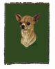 Chihuahua 2B Cotton Woven Throw