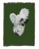 Chinese Crested Cotton Woven Throw