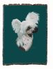 Chinese Crested Cotton Woven Throw