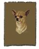 Chihuahua 2B Cotton Woven Throw