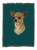 Chihuahua 2B Cotton Woven Throw