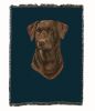 Labrador Retriever 2 - Chocolate - Cotton Woven Throw