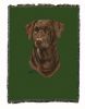 Labrador Retriever 2 - Chocolate - Cotton Woven Throw