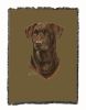 Labrador Retriever 2 - Chocolate - Cotton Woven Throw